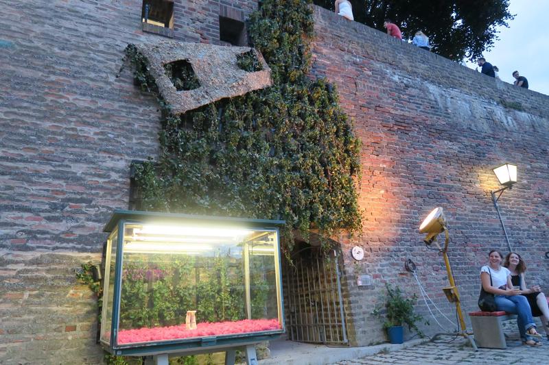 The Grand Quest of Stiege - Falling Plant Wall, image 3 of 4