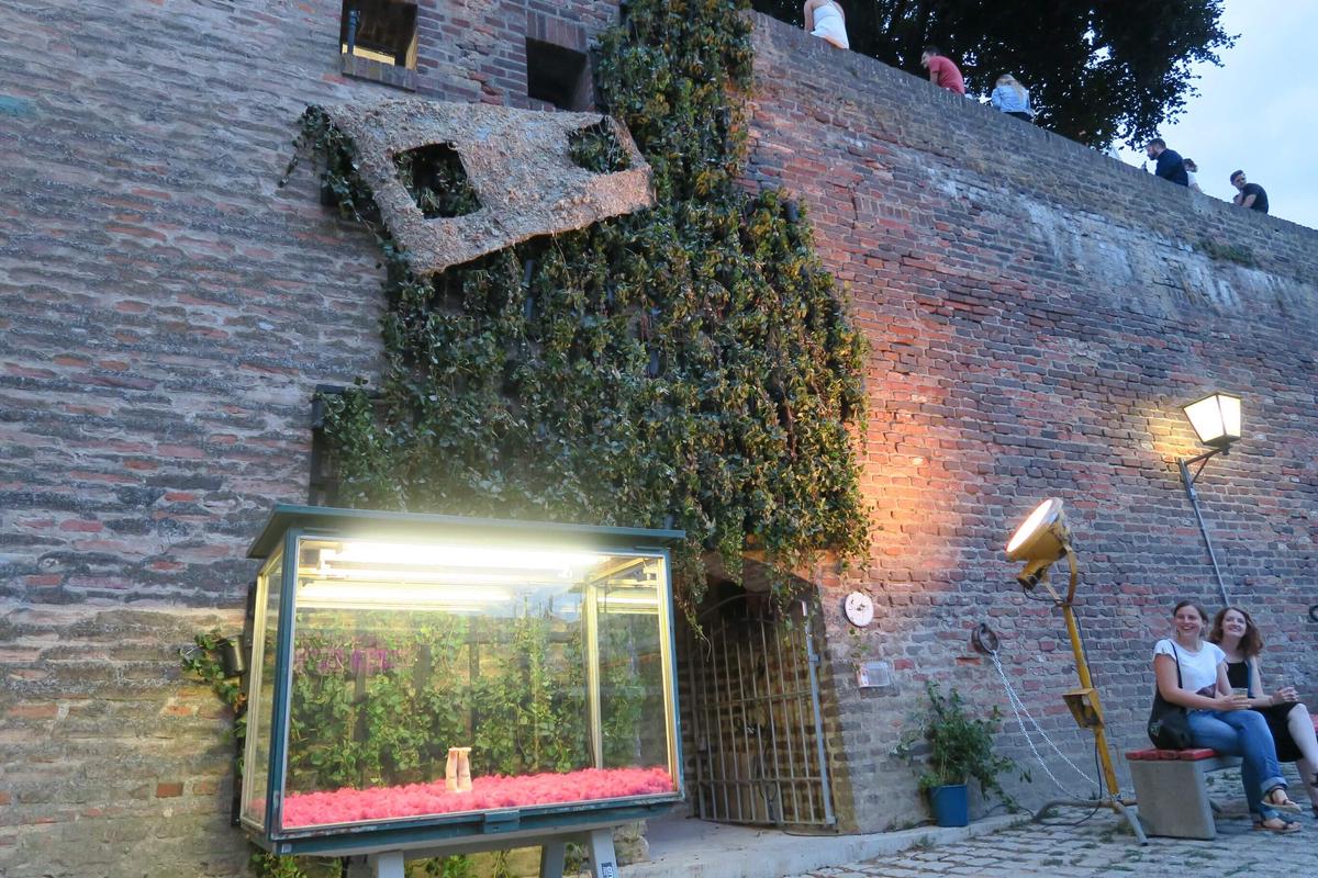 The Grand Quest of Stiege - Falling Plant Wall, image 3 of 4