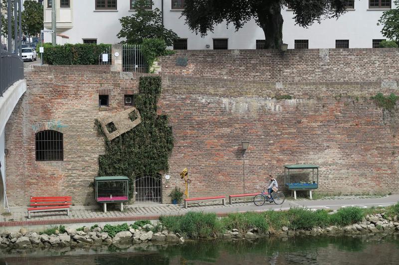 Falling Plant Wall