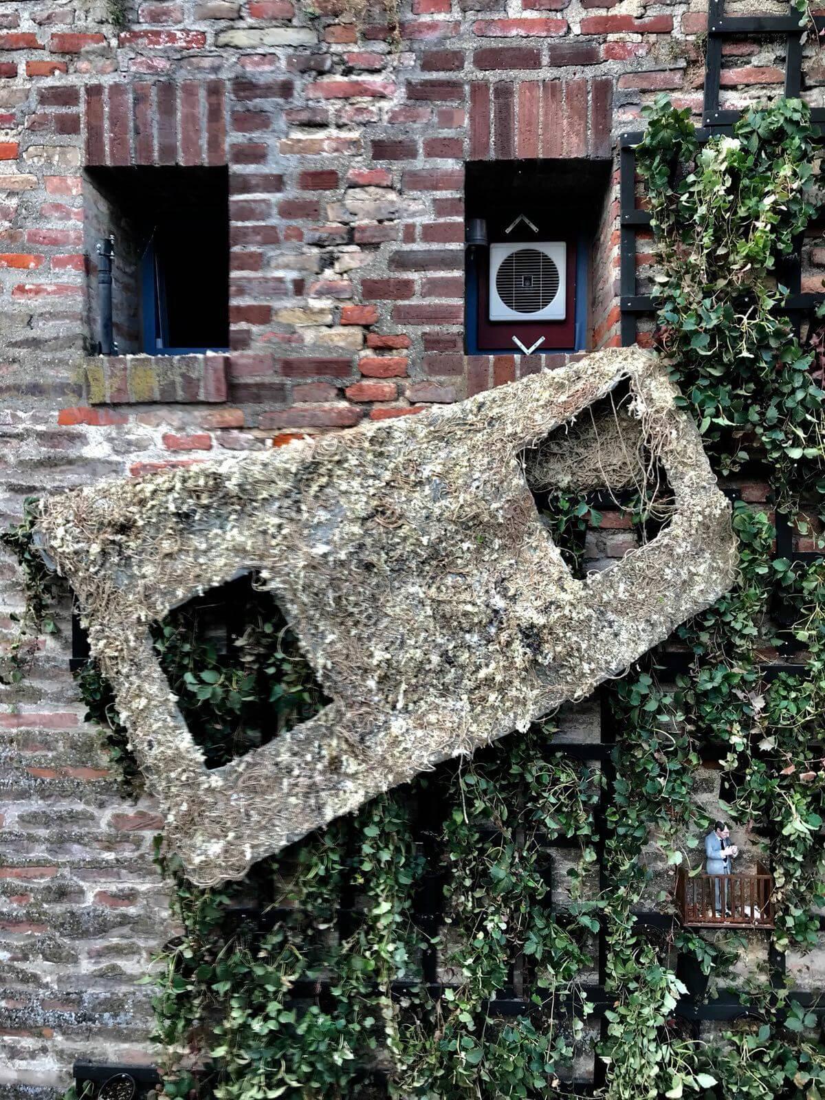 The Grand Quest of Stiege - Falling Plant Wall, image 4 of 4