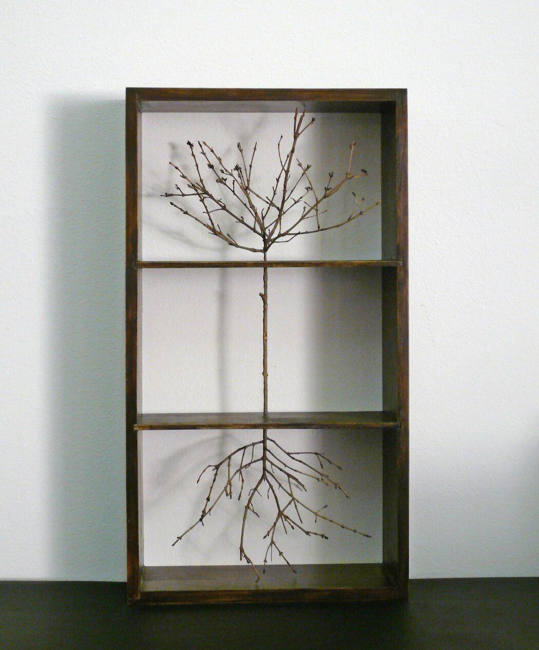 Tree Box