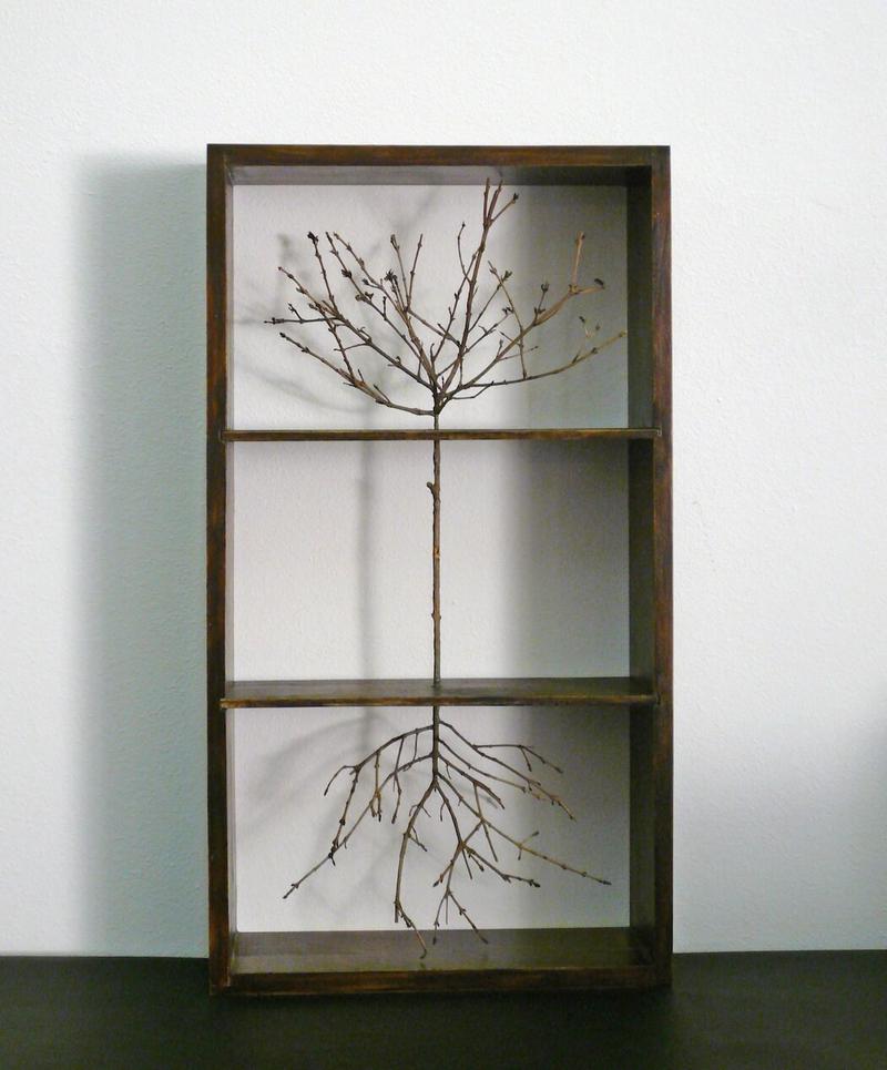 Tree Box
